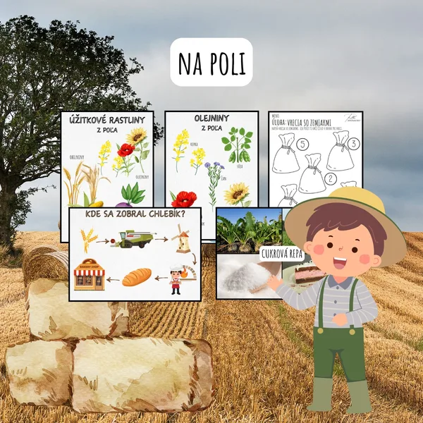 Na poli, úžitkové rastliny, plodiny, poľnohospodárstvo, zelenina