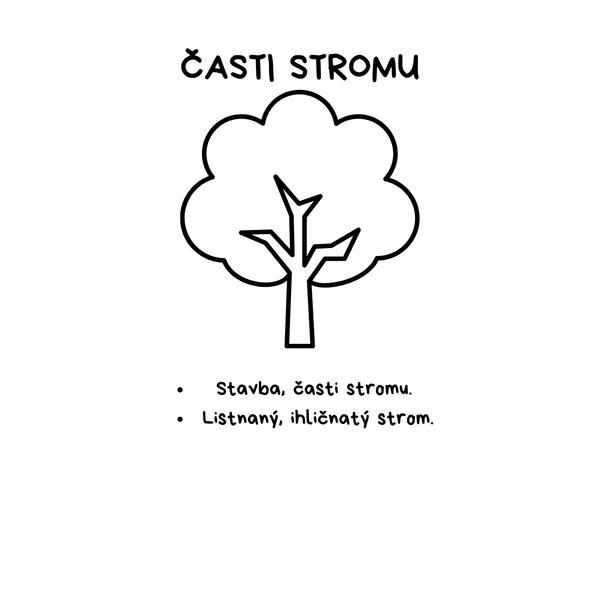 Časti stromu, listnaný, ihličnatý strom - plagáty