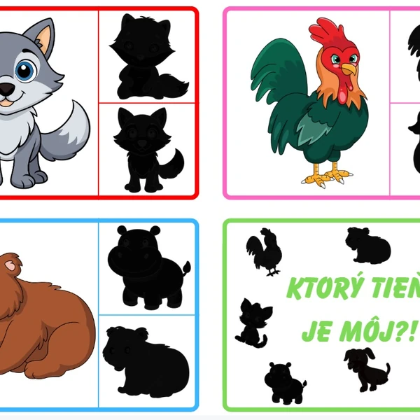 Aktivita Ktorý tieň je môj?! 