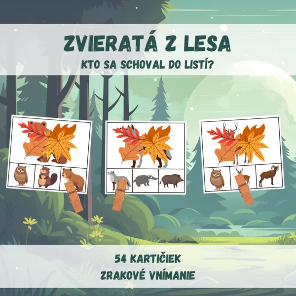 Zvieratá z lesa - kto sa schoval do lístia?