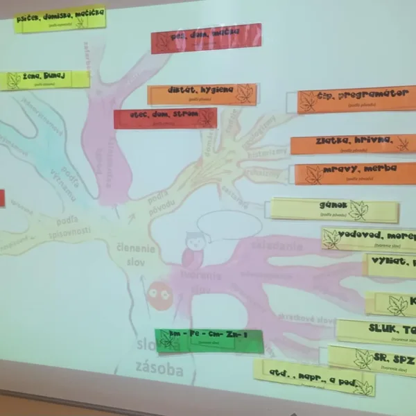 Strom poznania - pojmová mapa (slovná zásoba - lexikológia)