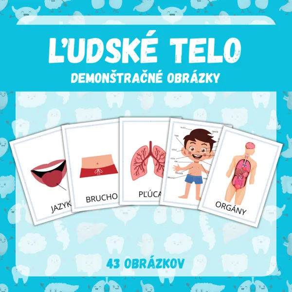 ĽUDSKÉ TELO - demonštračné obrázky