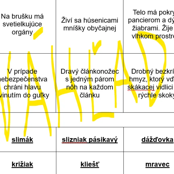 Bingo s bezstavovcami žijúcimi v lese