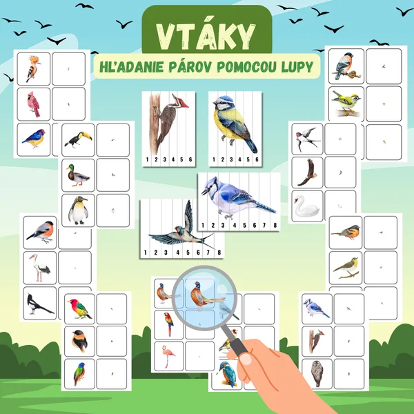 Vtáky - Hľadanie pomocou lupy 🔍