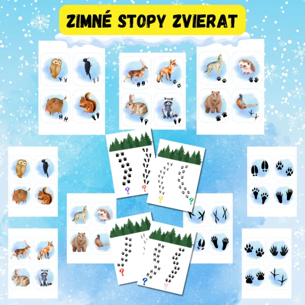 Zimné stopy zvierat 