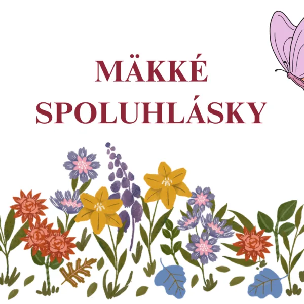 Mäkké spoluhlásky 