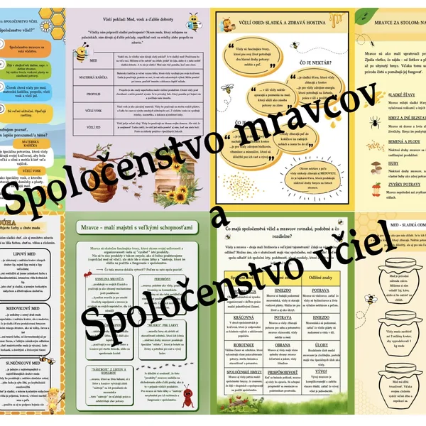 Mravce a včely: Miniatúrne spoločenstvá s obrovským významom