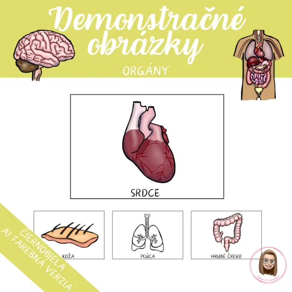 ORGÁNY: demonstračné obrázky
