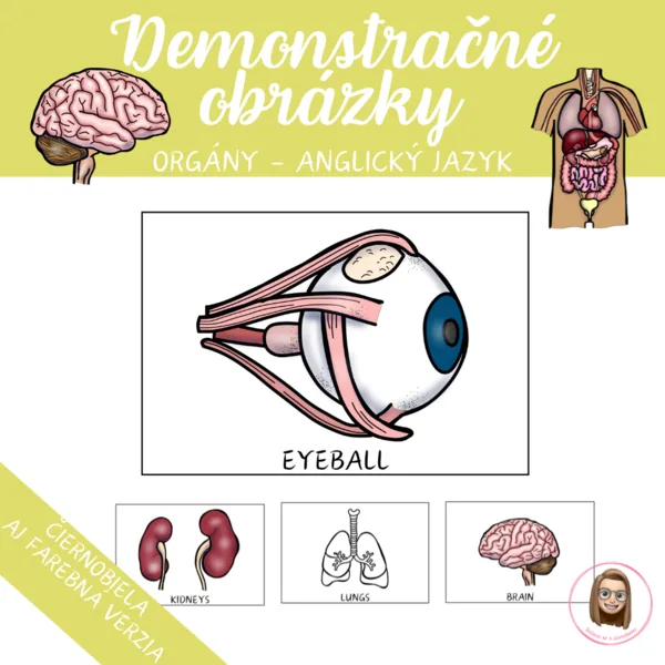 ORGANS: demonstračné obrázky