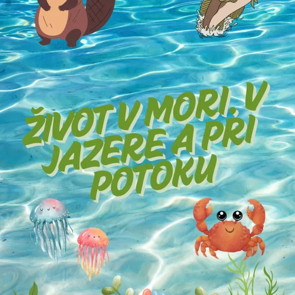 Voda a všetko okolo nej
