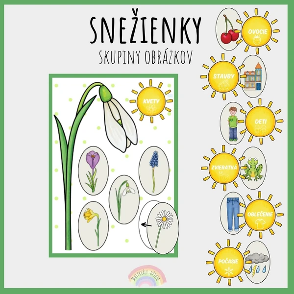 Snežienky, skupiny obrázkov