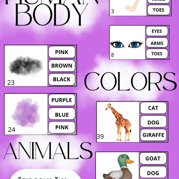 Animals, Body, Colours