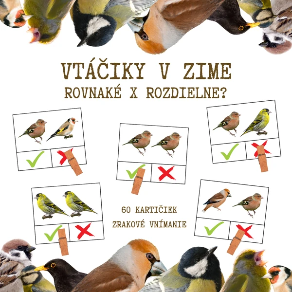 VTÁČIKY V ZIME - brožúra - rovnaké x rozdielne?