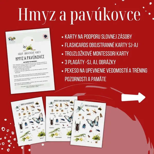PDF Hmyz a pavúkovce - karty (flashcards) v SJ a AJ obojstranné, montessori trojzložkové karty, plagáty a pexeso