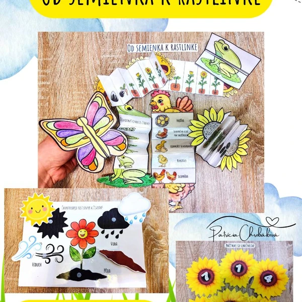 Od semienka k rastlinke / jar sa prebúdza