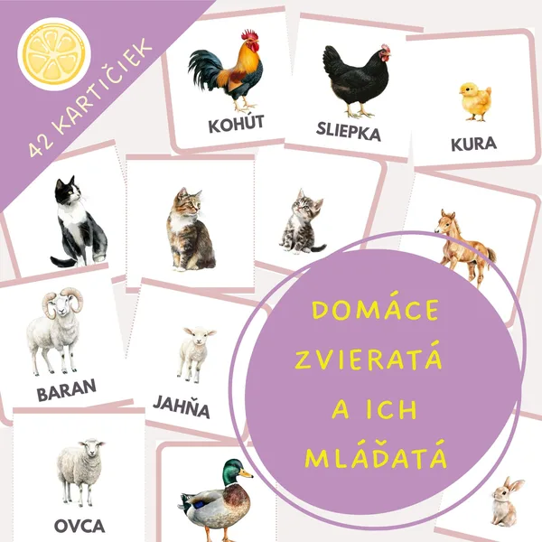 Domáce zvieratá a ich mláďatá | obrázkové demonstračné karty.