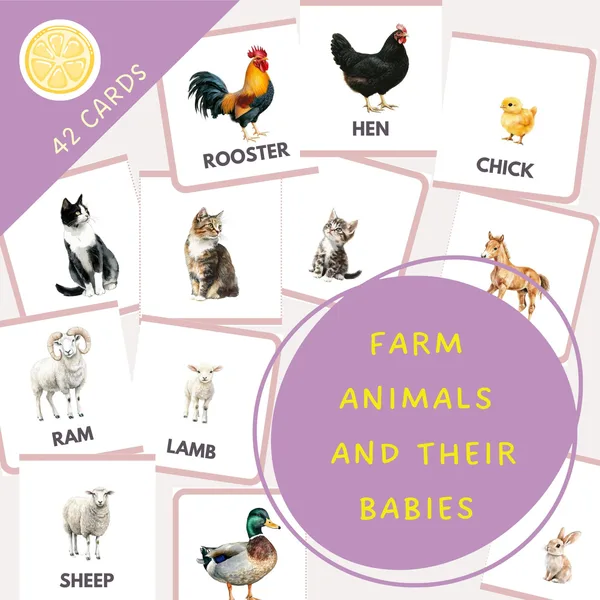 FARM ANIMALS AND THEIR BABIES - FLASHCARDS | obrázkové kartičky v angličtine