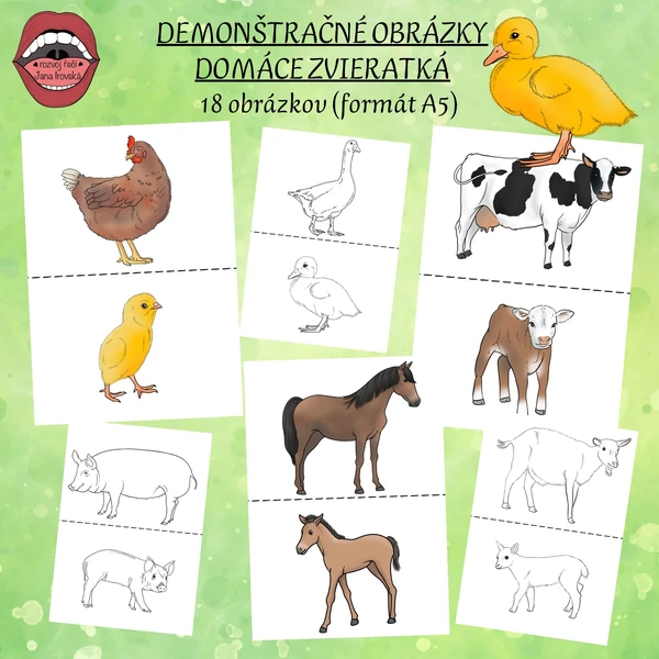 DEMONŠTRAČNÉ OBRÁZKY DOMÁCE ZVIERATKÁ