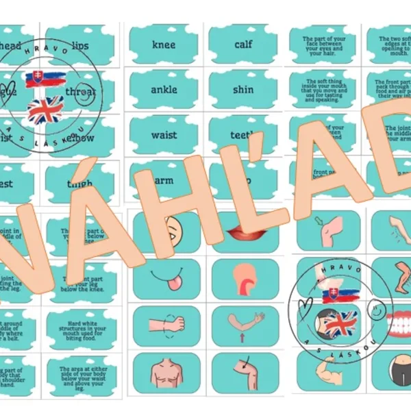 PARTS OF THE BODY (Pictures - Words - Definitions)