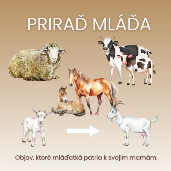 PRIRAĎ MLÁĎA