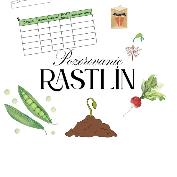 Pozorovací hárok - rast rastlín