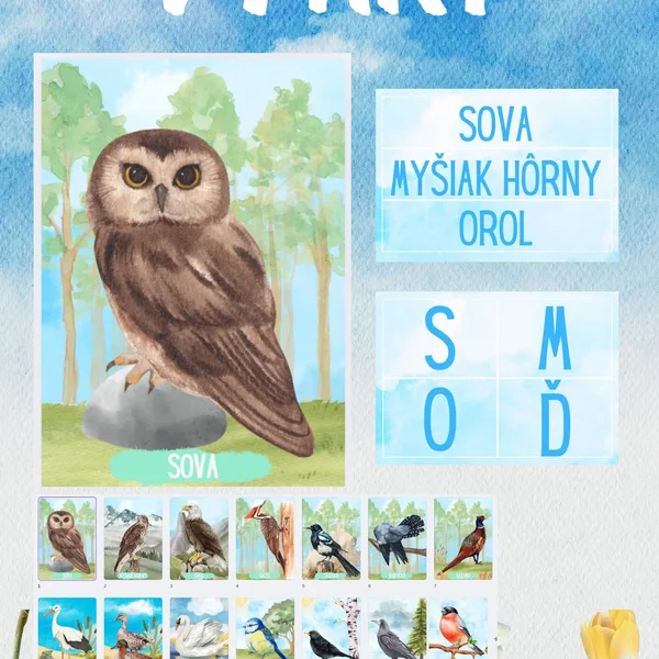 VTÁKY