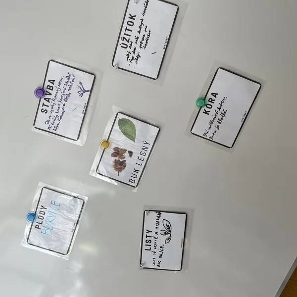 Pojmové mapy lesné spoločenstvo