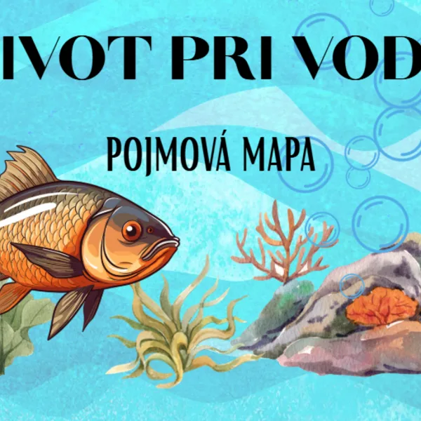 Pojmová mapa - život pri vode