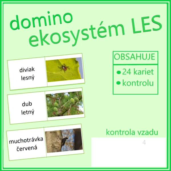 Domino – ekosystém LES 