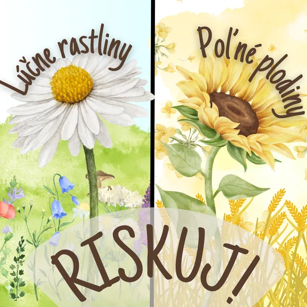 RISKUJ! - Lúčne rastliny a huby, poľné plodiny (POZNÁVAČKA)