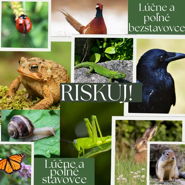 RISKUJ! - Lúčne a poľné živočíchy