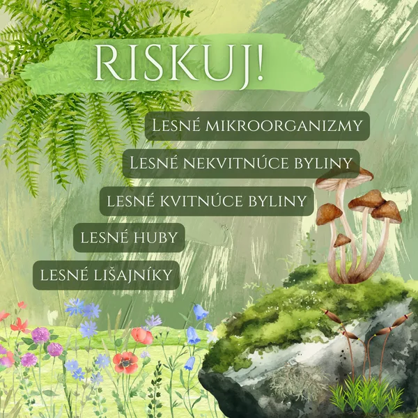 RISKUJ! - Lesné mikroorganizmy, nekvitnúce a kvitnúce rastliny, huby a lišajníky