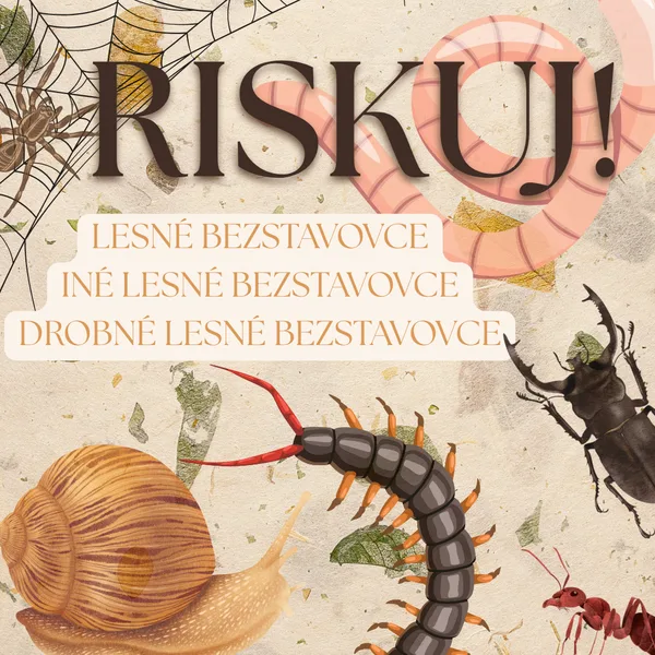 RISKUJ! - Lesné bezstavovce