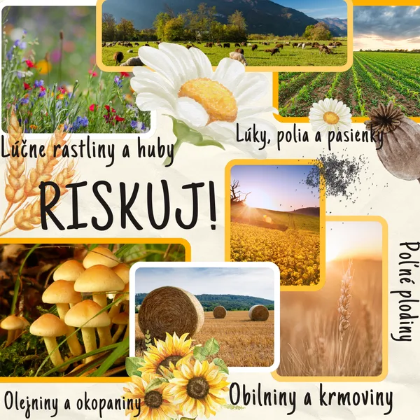 RISKUJ! - Lúky, polia, pasienky, lúčne rastliny a huby, poľné plodiny