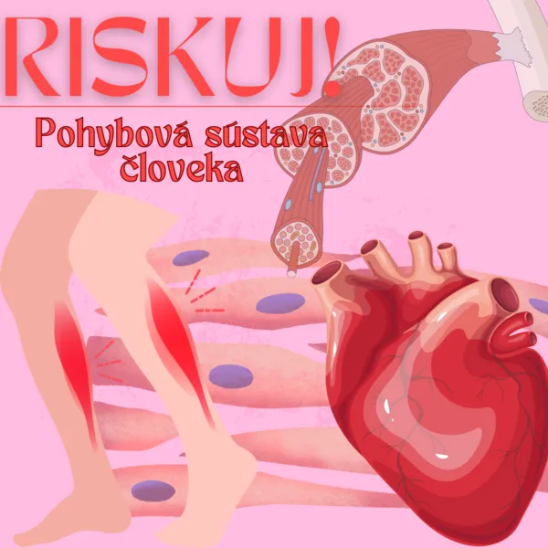 RISKUJ! - Pohybová sústava človeka
