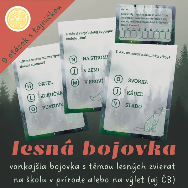 LESNÁ STEZKA | vonkajšia bojovka na školu v prírode.