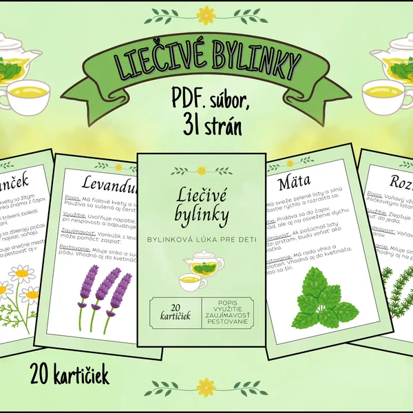 Liečivé bylinky 🌿