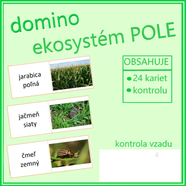 Domino – ekosystém POLE