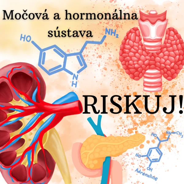 RISKUJ! - Močová a hormonálna sústava človeka