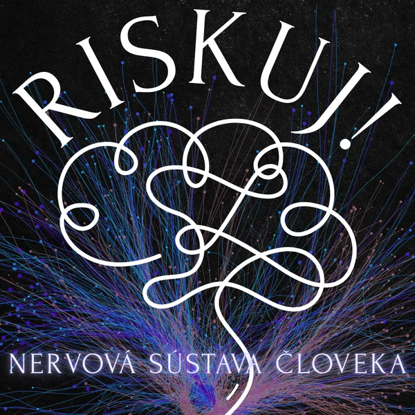 RISKUJ! - Nervová sústava človeka