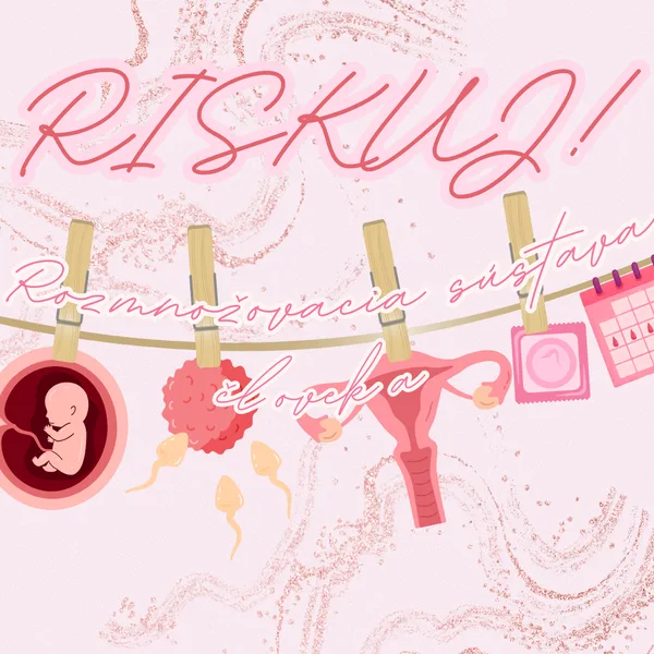 RISKUJ! - Rozmnožovacia sústava človeka