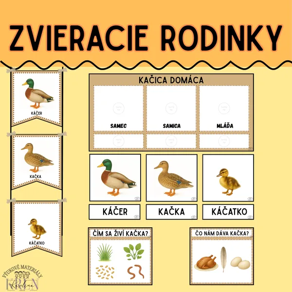 DOMÁCE ZVIERATÁ A ICH MLÁĎATÁ