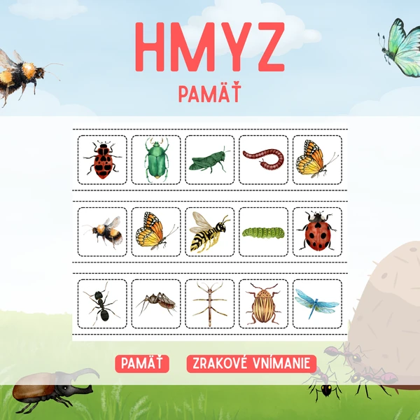 HMYZ - pamäť