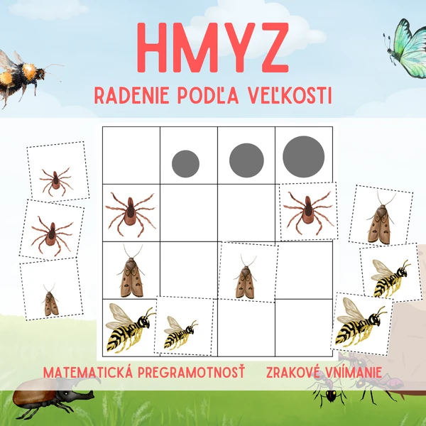 HMYZ - radenie podľa veľkosti