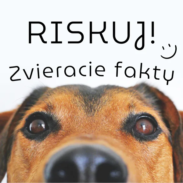 RISKUJ! - Zvieracie fakty