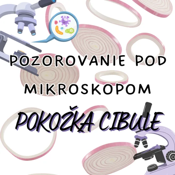 Praktické cvičenie - Pokožka cibule