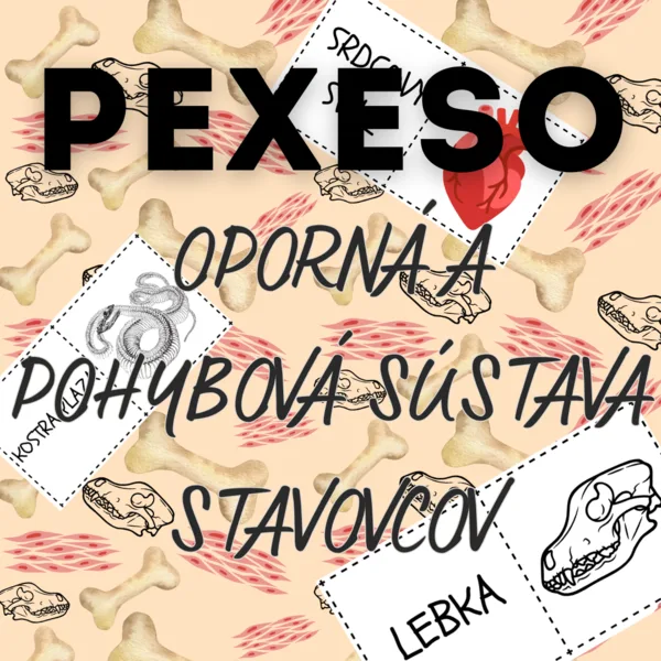 PEXESO - Oporná a pohybová sústava stavovcov