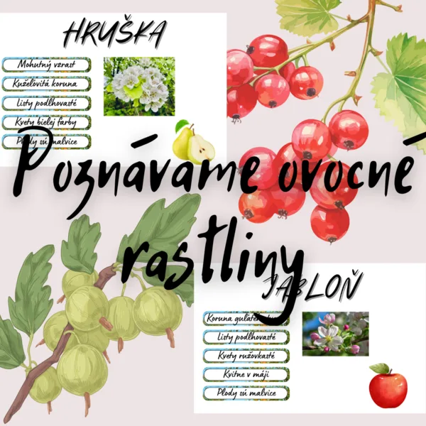 Poznávame ovocné rastliny
