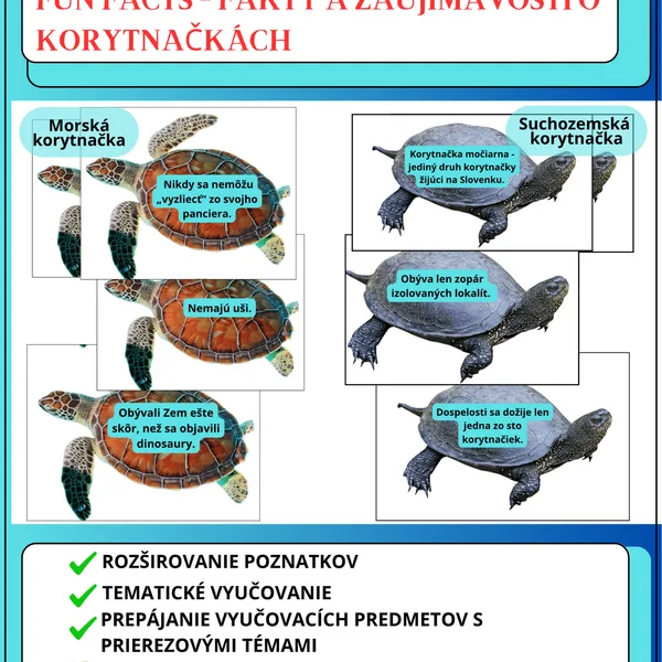 SVETOVÝ DEŇ KORYTNAČIEK - FUN FACTS