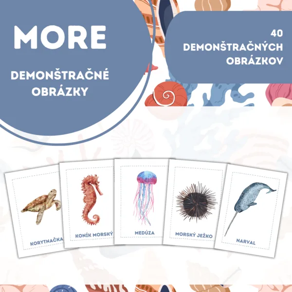 MORE - brožúra - demonštračné obrázky